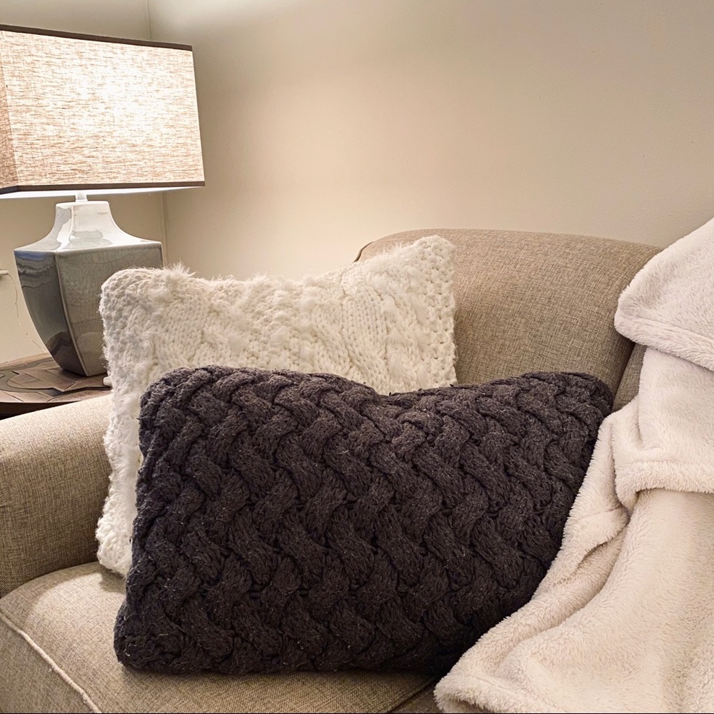 Pottery Barn Throw Pillow